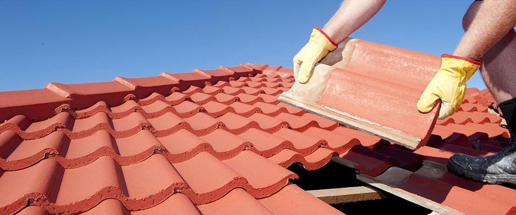 Roof Maintenance